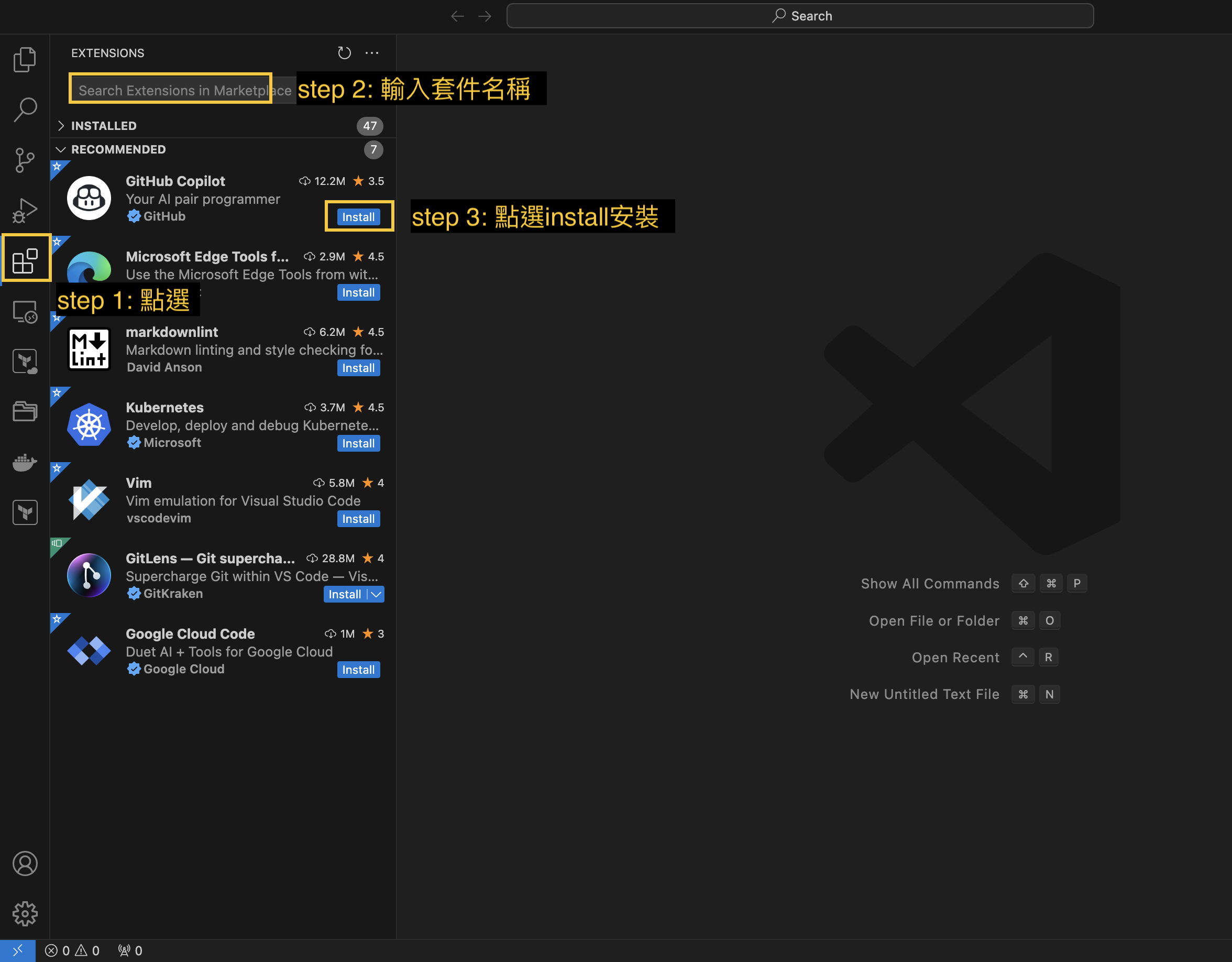 _images/vscode_extension.png